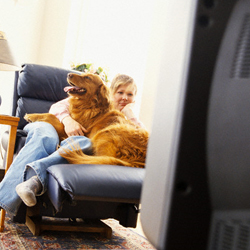 dog-watching-tv